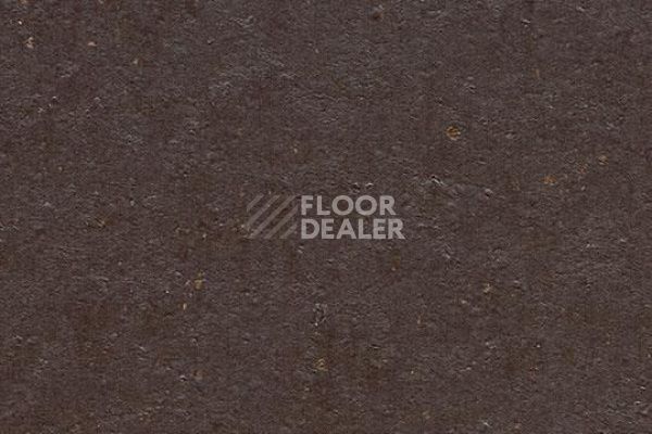 Линолеум Marmoleum Solid Cocoa 3581-358135 dark chocolate фото 1 | FLOORDEALER